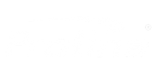 Proline Solar Inverter Logo